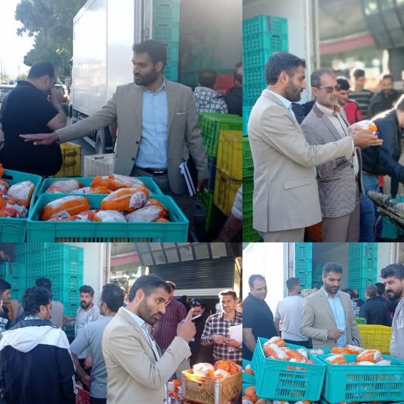 برخورد قاطع تعزیرات حکومتی با متخلفین/ عرضه و توزیع ۶ تن مرغ به قیمت مصوب